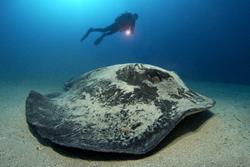 Morro Jable Dive Centre - Fuerteventura. 